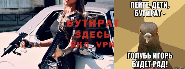прущие грибы Краснотурьинск