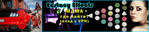 прущие грибы Краснотурьинск
