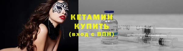 прущие грибы Краснотурьинск