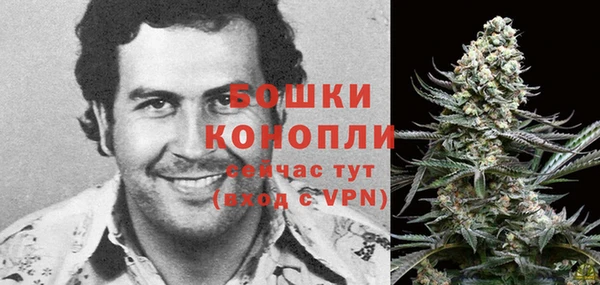 прущие грибы Краснотурьинск