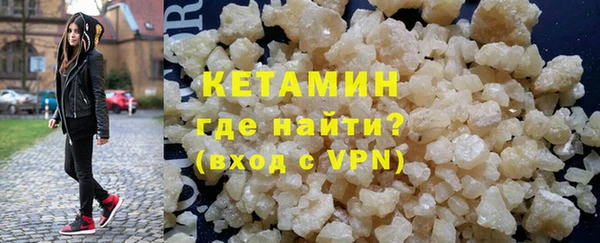 прущие грибы Краснотурьинск