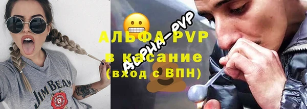 прущие грибы Краснотурьинск