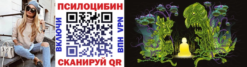 Купить закладки  Ревда  Псилоцибиновые грибы GOLDEN TEACHER 